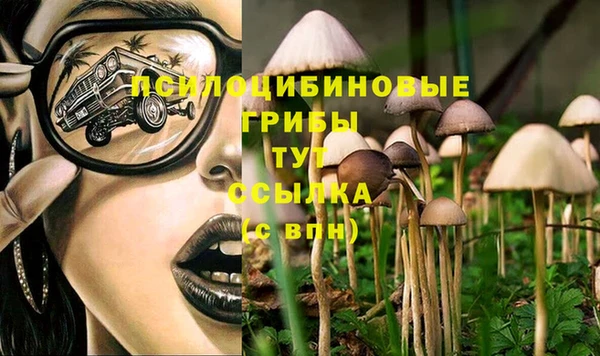 таблы Ладушкин