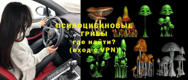 ПСИЛОЦИБИНОВЫЕ ГРИБЫ Краснослободск