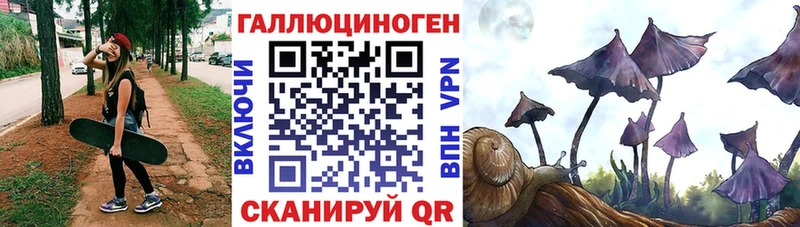 маркетплейс формула  Кяхта  Галлюциногенные грибы мицелий 